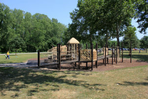 illinois horseshoe lake state park playground